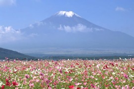 富士国际语学院