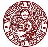 威尼斯大学
